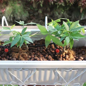 20m 4/7mm Garden Hose 20pcs Drippers Micro Irrigation System Bonsai Flower Watering Kits Greenhouse Sprinkler Cooling System
20m 4/7mm Garden Hose 20pcs Drippers Micro Irrigation System Bonsai Flower Watering Kits Greenhouse Sprinkler Cooling System