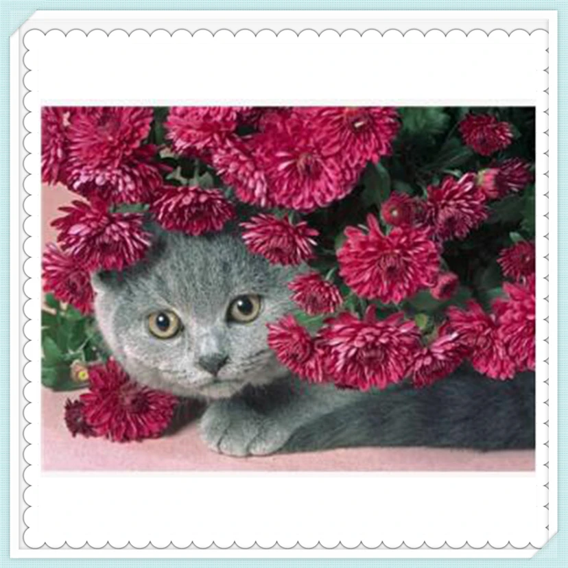 Modular picture of Red flower cat,hand painted Picture by numbers oil painting on canvas for Cuadros home decoration YF1513
Modular picture of Red flower cat,hand painted Picture by numbers oil painting on canvas for Cuadros home decoration YF1513