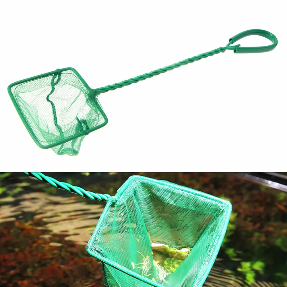 1PC Green Aquarium Fish Tank Square Shrimp Small Betta Tetra Fish Net 3"/4"5"/6"/8"/10" 6 Sizes Plastic Nets New Arrival C42
1PC Green Aquarium Fish Tank Square Shrimp Small Betta Tetra Fish Net 3"/4"5"/6"/8"/10" 6 Sizes Plastic Nets New Arrival C42