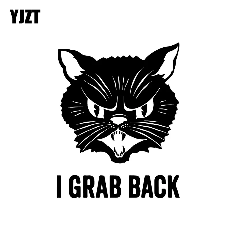 YJZT 12.9CM*16.5CM I GRAB BACK Vinyl Decal Car Sticker Cat Feminist Bad Luck Black Silver C10-02455
YJZT 12.9CM*16.5CM I GRAB BACK Vinyl Decal Car Sticker Cat Feminist Bad Luck Black Silver C10-02455