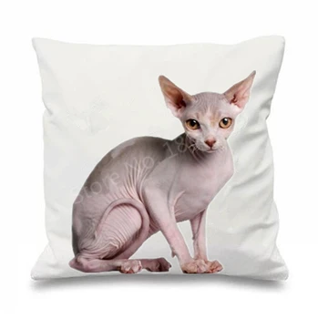 Cute Sphynx Kitten Cat Decorative Cushion Cover Throw Pillow Case Hairless Sphynx Cat Square Pillows Sham Animal Pet Decor Gifts
Cute Sphynx Kitten Cat Decorative Cushion Cover Throw Pillow Case Hairless Sphynx Cat Square Pillows Sham Animal Pet Decor Gifts