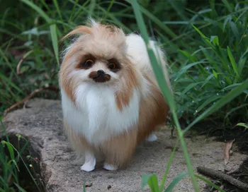 about 22x19cm furry furs Pomeranian dog model,polyethylene&furs handicraft Figurines home decoration toy gift a2566
about 22x19cm furry furs Pomeranian dog model,polyethylene&furs handicraft Figurines home decoration toy gift a2566