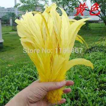 Wholesale 50pcs/lot yellow feather Cock Tail Feather feathers for sale centerpieces rooster tail feathers 35-40cm/14-16inch
Wholesale 50pcs/lot yellow feather Cock Tail Feather feathers for sale centerpieces rooster tail feathers 35-40cm/14-16inch