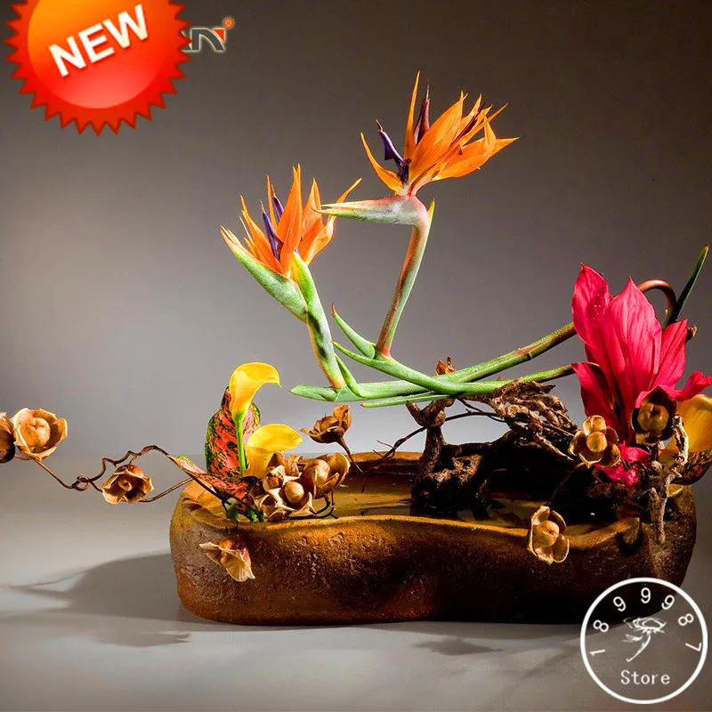 Hot Sale!Indoor Potted Flowers Strelitzia bonsai Garden Perennials Orchid Hybrid plant Bird Paradise 100 Pcs/lot,#FKD0BS
Hot Sale!Indoor Potted Flowers Strelitzia bonsai Garden Perennials Orchid Hybrid plant Bird Paradise 100 Pcs/lot,#FKD0BS