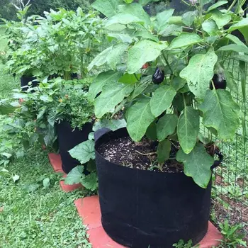 Garden Plant bags / 5-Packs 5 Gallon Grow Bags /Aeration Fabric Pots /Handles (Black)
Garden Plant bags / 5-Packs 5 Gallon Grow Bags /Aeration Fabric Pots /Handles (Black)