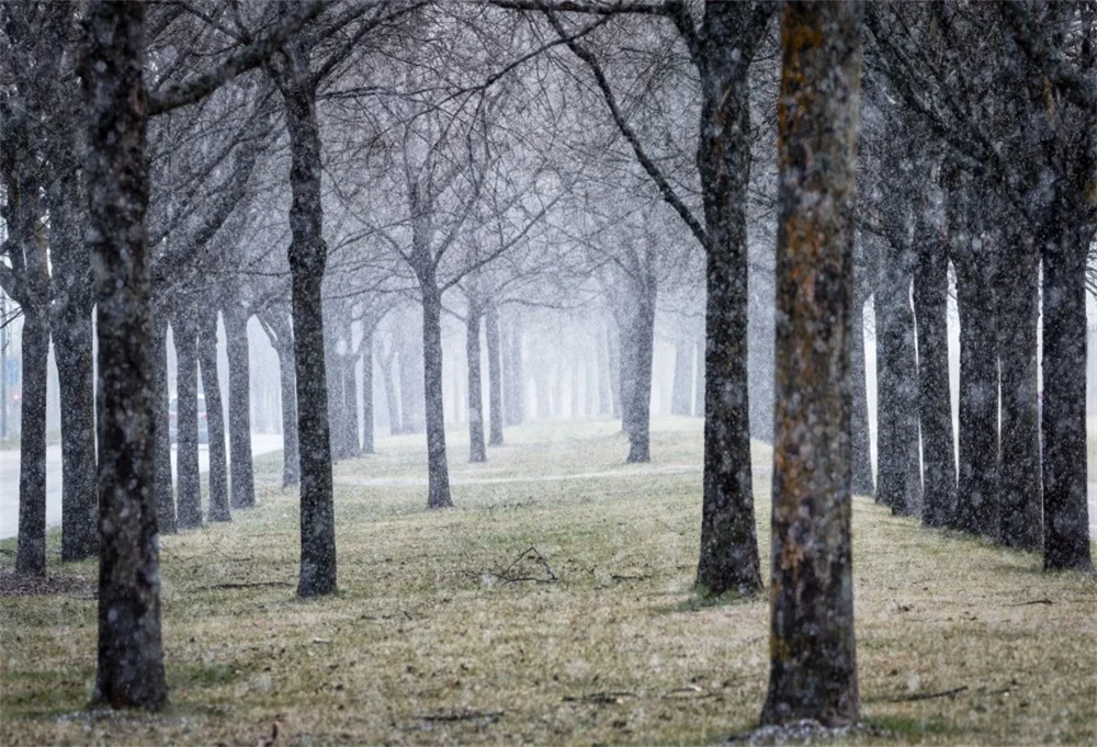 Laeacco Tree Mist Smoke Snow Passage Portrait Scenic Photographic Backgrounds Customized Photography Backdrops For Photo Studio
Laeacco Tree Mist Smoke Snow Passage Portrait Scenic Photographic Backgrounds Customized Photography Backdrops For Photo Studio