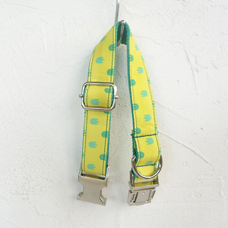 Pet Dog Collars (11)