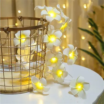 Battery powered handmade LED White /pink/purple Frangipani Flower Fairy Light String Plumeria,wedding,part,xmas,bedroom decor
Battery powered handmade LED White /pink/purple Frangipani Flower Fairy Light String Plumeria,wedding,part,xmas,bedroom decor