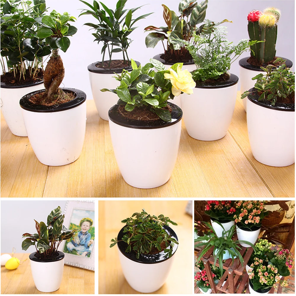 Lazy Flower Pot Automatic Water-Absorbing Resin Flower Pot Desktop Hydroponic Potted Plant Nursery Pots for Home Office Decor
Lazy Flower Pot Automatic Water-Absorbing Resin Flower Pot Desktop Hydroponic Potted Plant Nursery Pots for Home Office Decor