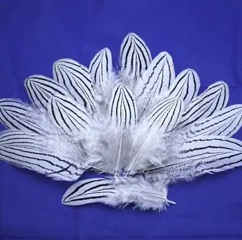 Free shipping 100pcs 6-10cm/2-4in bulk sale real silver pheasant plumage craft feather tail for jewelry making
Free shipping 100pcs 6-10cm/2-4in bulk sale real silver pheasant plumage craft feather tail for jewelry making