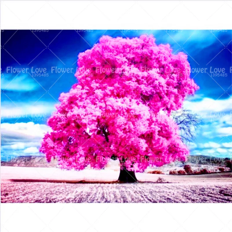 10pcs Gaint Cherry blossoms Bonsai Cherry Tree Perennial sakura flower for home garden Cultivation potted plants planting
10pcs Gaint Cherry blossoms Bonsai Cherry Tree Perennial sakura flower for home garden Cultivation potted plants planting