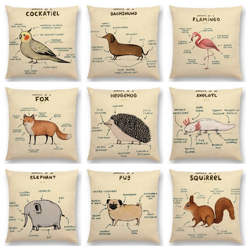 Funny Animals Anatomy Flamingo Fox Dachshund Giraffe Hedgehog Lion Pug Squirrel Cushion Cover Sofa Throw Pillow Case
Funny Animals Anatomy Flamingo Fox Dachshund Giraffe Hedgehog Lion Pug Squirrel Cushion Cover Sofa Throw Pillow Case