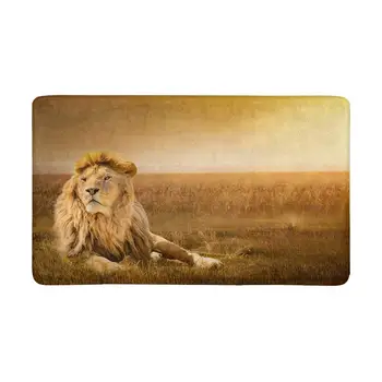 Big Male Lion Lying on The Grass Indoor Entrance Rug Floor Mats Shoe Scraper Doormat
Big Male Lion Lying on The Grass Indoor Entrance Rug Floor Mats Shoe Scraper Doormat