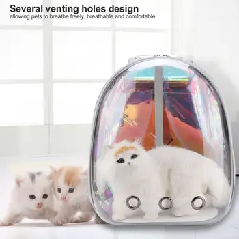 Portable Pet Travel Carrier Backpack Space Capsule Breathable Design 2 Style Cat-carrying Supplies For Cats Dogs
Portable Pet Travel Carrier Backpack Space Capsule Breathable Design 2 Style Cat-carrying Supplies For Cats Dogs
