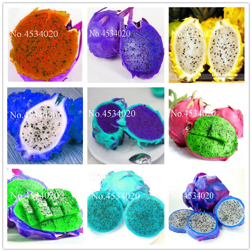 Rare Pitaya Fruit Trees Bonsai Perennial Plants Non-GMO Hylocereus Dragon Fruit suculentas Home Garden 100 Pcs juicy plantas
Rare Pitaya Fruit Trees Bonsai Perennial Plants Non-GMO Hylocereus Dragon Fruit suculentas Home Garden 100 Pcs juicy plantas