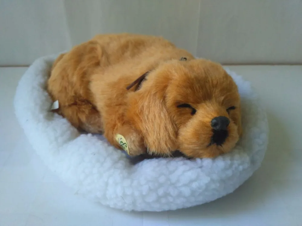 simulation prone Golden Retriever dog 30x20cm model breathing dog with mat handicraft,home decoration toy d2840
simulation prone Golden Retriever dog 30x20cm model breathing dog with mat handicraft,home decoration toy d2840