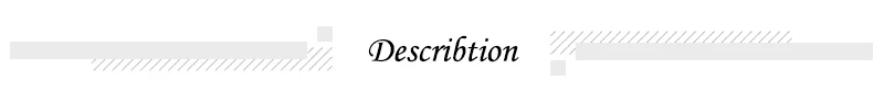 1 Description (1)