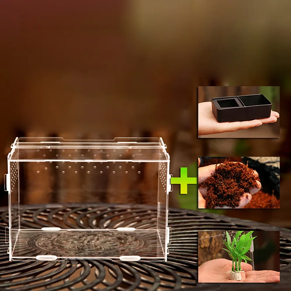 Terrarium Vivarium Kit With Magnet Latch Water Bowl Substrate Artificial Plant For Gecko Lizard Snake Tarantula Reptile Acrylic
Terrarium Vivarium Kit With Magnet Latch Water Bowl Substrate Artificial Plant For Gecko Lizard Snake Tarantula Reptile Acrylic