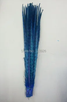 100pcs/lot royal blue Pheasant Feathers Natural Feathers 30-35cm Long Decorative Feathers Plumes Carnival Feathers 
100pcs/lot royal blue Pheasant Feathers Natural Feathers 30-35cm Long Decorative Feathers Plumes Carnival Feathers