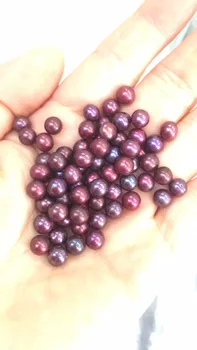 Natural Pearl Oyster With 7-8mm Round Loose Pearls For Jewelry Making Individually Vacuum Packaging Wholesale ZY006
Natural Pearl Oyster With 7-8mm Round Loose Pearls For Jewelry Making Individually Vacuum Packaging Wholesale ZY006