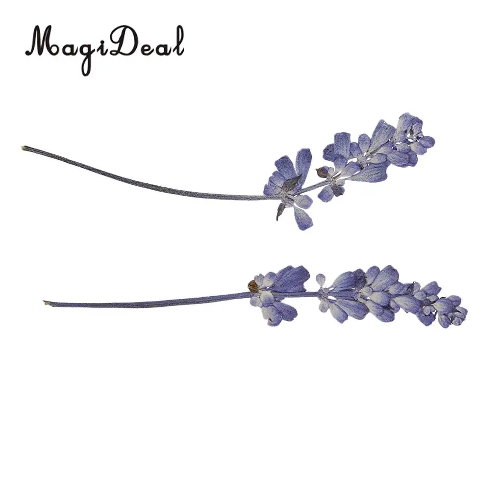 10pcs Beautiful Pressed Sage Flower Dried Flowers for Art Craft Scrapbooking Epoxy Resin Jewelry Making DIY Decorations