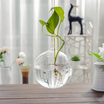 Free Shipping 2pcs/pack Diameter=15cm Two Small Holes Glass FishBowl Hanging Glass Terrarium Vase with two holes home decoration
Free Shipping 2pcs/pack Diameter=15cm Two Small Holes Glass FishBowl Hanging Glass Terrarium Vase with two holes home decoration