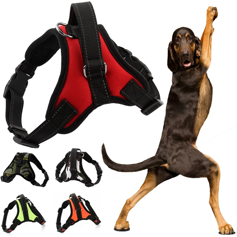 K9 Dog Harness Adjustable Nylon No Pull Dog Harness Vest For Big Dog Harness Large Dog Leash L Medium Pet Supplies Vest
K9 Dog Harness Adjustable Nylon No Pull Dog Harness Vest For Big Dog Harness Large Dog Leash L Medium Pet Supplies Vest
