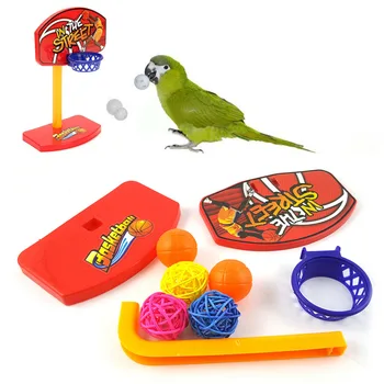 1set Pet Birds Chew Parakeet Bell Balls Parrot Toys Birdie Basketball Hoop Prop Pet Products intelligence development toys
1set Pet Birds Chew Parakeet Bell Balls Parrot Toys Birdie Basketball Hoop Prop Pet Products intelligence development toys