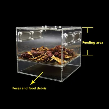 Kowloon worm insect breeding box clear acrylic Kowloon worm insect breeding box larva or fecal separator
Kowloon worm insect breeding box clear acrylic Kowloon worm insect breeding box larva or fecal separator