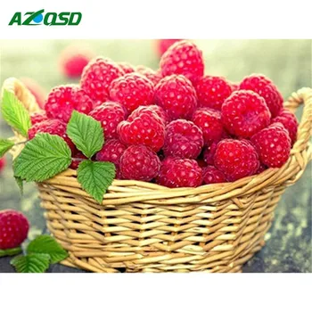 AZQSD 5D DIY Diamond Painting Fruit Diamond Embroidery Cross Stitch Raspberry Diamond Mosaic Full Square Home Decoration Kit
AZQSD 5D DIY Diamond Painting Fruit Diamond Embroidery Cross Stitch Raspberry Diamond Mosaic Full Square Home Decoration Kit