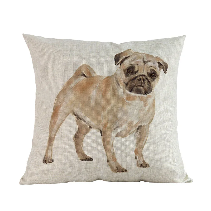 pug