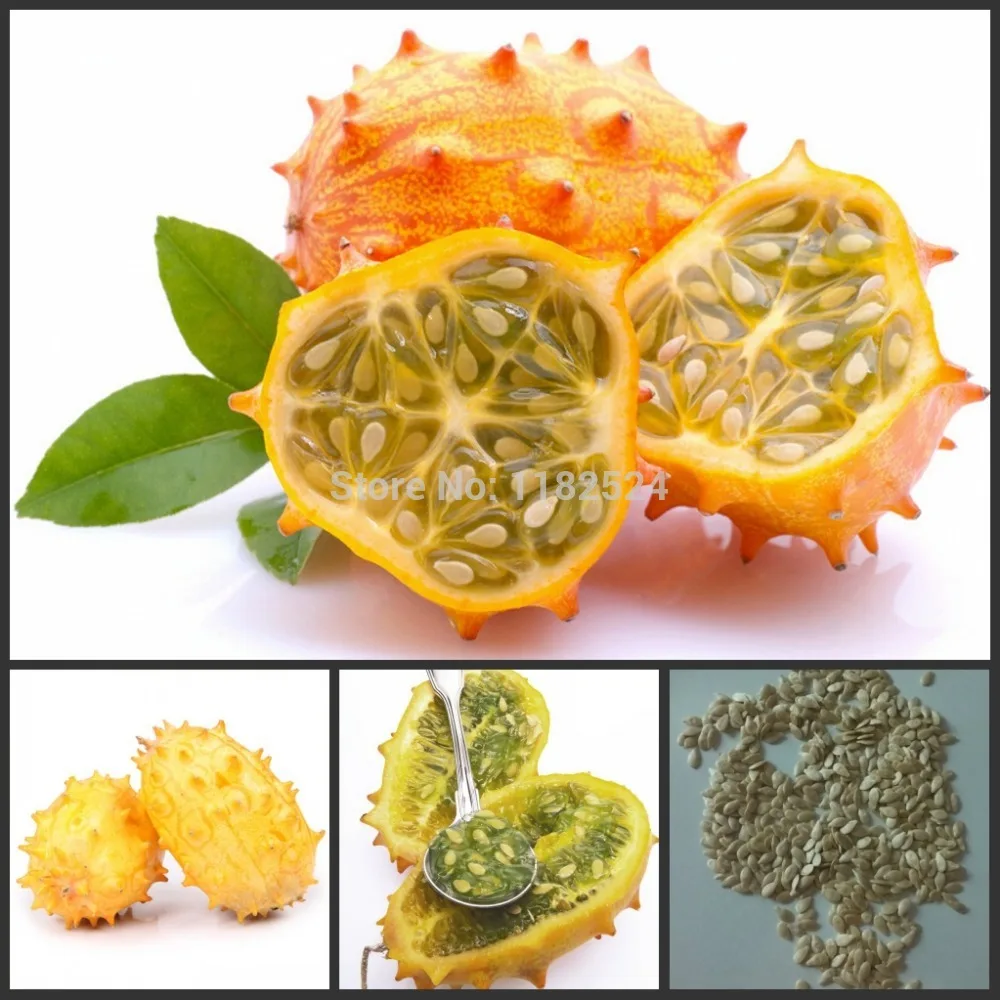 30pcs 100% Fresh Real Organic KIWANO Melano Cucumis metuliferus African Horned Cucumber Fruit Melon S
30pcs 100% Fresh Real Organic KIWANO Melano Cucumis metuliferus African Horned Cucumber Fruit Melon S