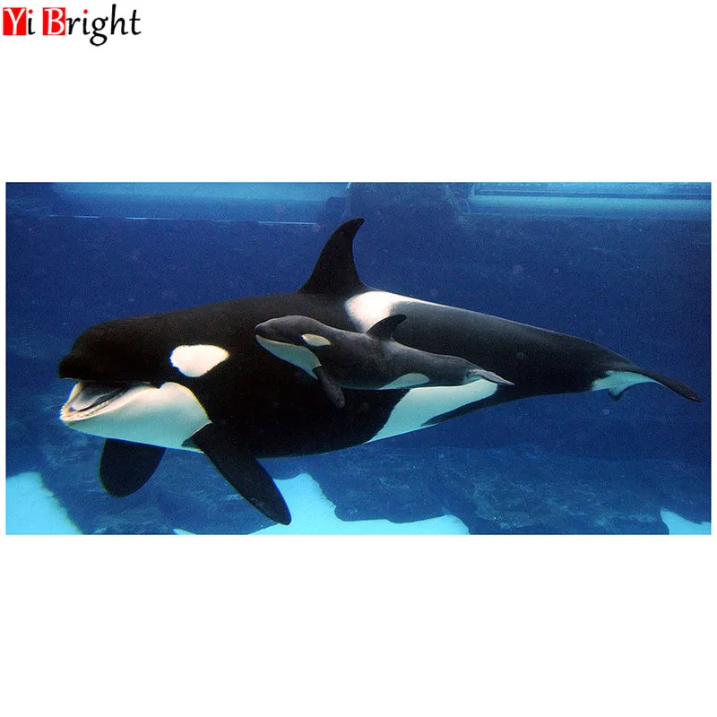5D Diy Diamond Painting Sale animal Killer Whale Full Square Diamond Cross Stitch Accessories Diamond Mosaic Embroidery XY1
5D Diy Diamond Painting Sale animal Killer Whale Full Square Diamond Cross Stitch Accessories Diamond Mosaic Embroidery XY1