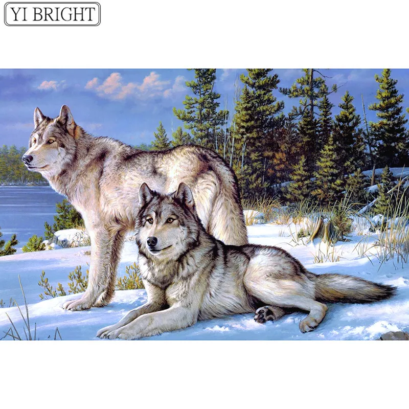 5D DIY Full Square Diamond Painting Cross Stitch Snow wolf 3D Diamond Embroidery Rhinestone Mosaic Home Decoration
5D DIY Full Square Diamond Painting Cross Stitch Snow wolf 3D Diamond Embroidery Rhinestone Mosaic Home Decoration