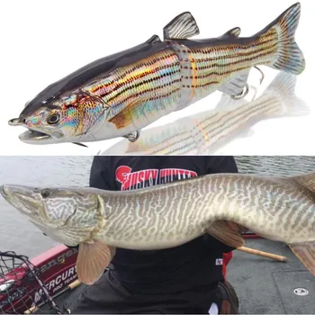 hunthouse Muskie Musky fishing pike lure laser 185mm 65g wobblers 2 Section Swimbait brand Fishing Lures Artificial Bait
hunthouse Muskie Musky fishing pike lure laser 185mm 65g wobblers 2 Section Swimbait brand Fishing Lures Artificial Bait