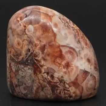129g Natural Leopardite Fur Jasper Palm Stone Raw Materials Specimen Crystal Reiki Healing Rock Stone Craft Home Decor
129g Natural Leopardite Fur Jasper Palm Stone Raw Materials Specimen Crystal Reiki Healing Rock Stone Craft Home Decor