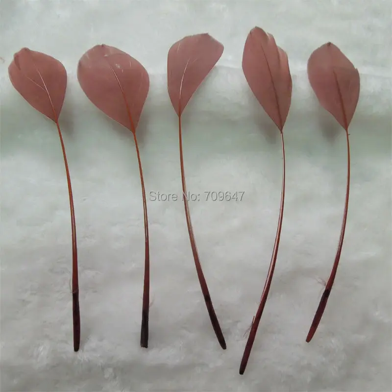 Craft Feather!100PCS/LOT!Dark Coffe Stripped Goose Satinettes Feathers 10-18cm Length, Costume, Party, Decor, Hats, Rave,Theater
Craft Feather!100PCS/LOT!Dark Coffe Stripped Goose Satinettes Feathers 10-18cm Length, Costume, Party, Decor, Hats, Rave,Theater