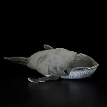 Balaenoptera rorquals whale Plush simulation Marine animals stuffed dolls personalized gift christmas
Balaenoptera rorquals whale Plush simulation Marine animals stuffed dolls personalized gift christmas