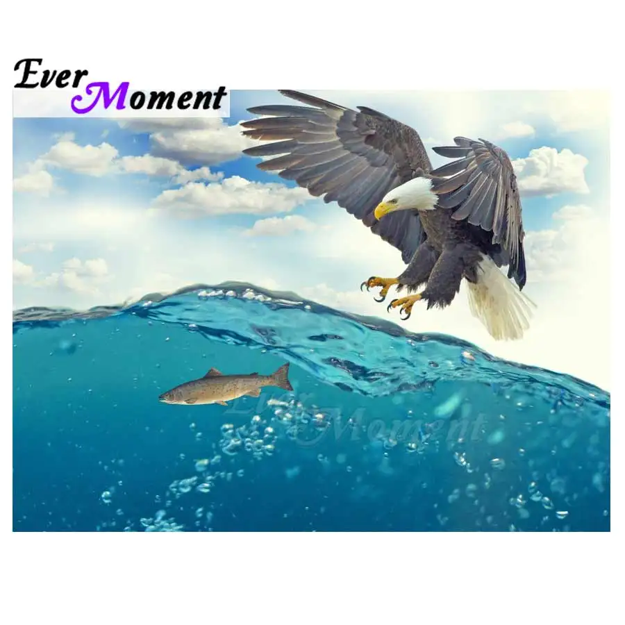 Ever Moment Diamond Painting Eagle Catching Fish Picture Of Rhinestone Full Square Drill Diamond Embroidery Decoration 3F631
Ever Moment Diamond Painting Eagle Catching Fish Picture Of Rhinestone Full Square Drill Diamond Embroidery Decoration 3F631