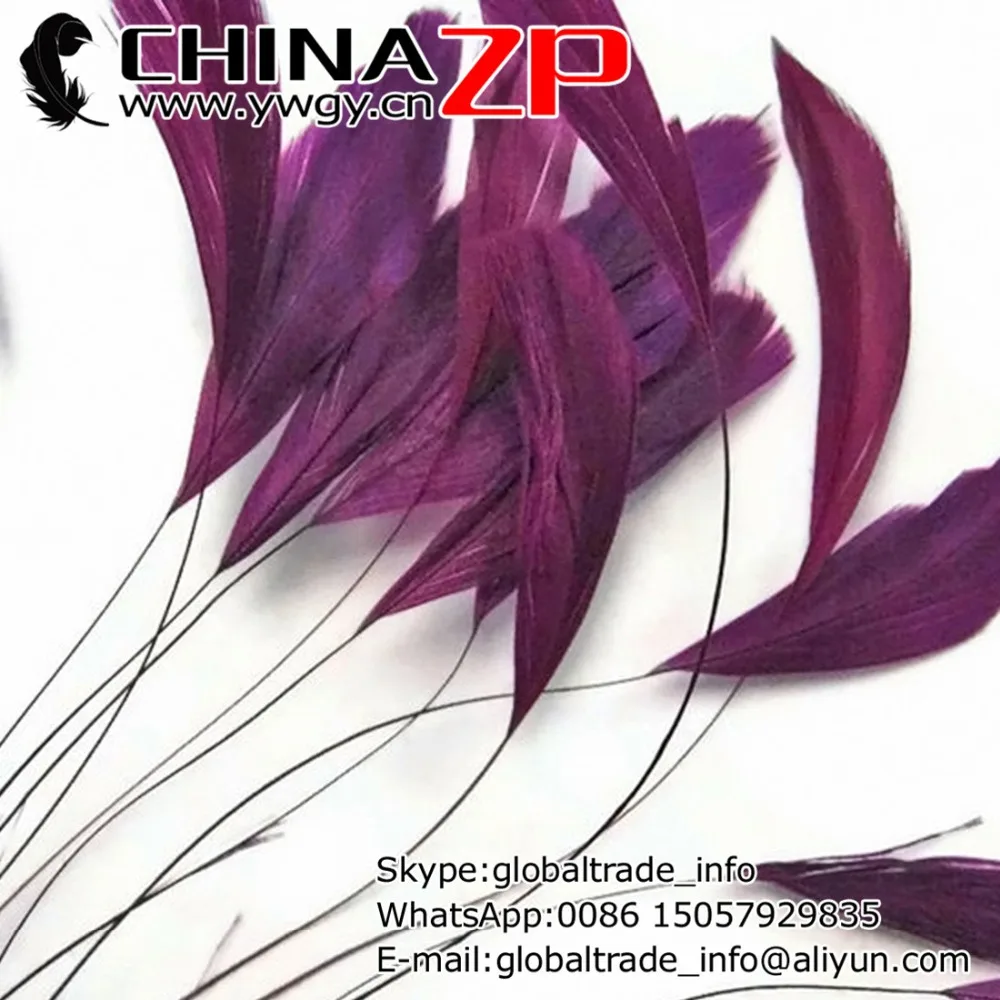 CHINAZP Factory Cheap Wholesale 100pcs/lot Gergous and Graceful Dyed Purple Stripped Coque Tail Feathers
CHINAZP Factory Cheap Wholesale 100pcs/lot Gergous and Graceful Dyed Purple Stripped Coque Tail Feathers
