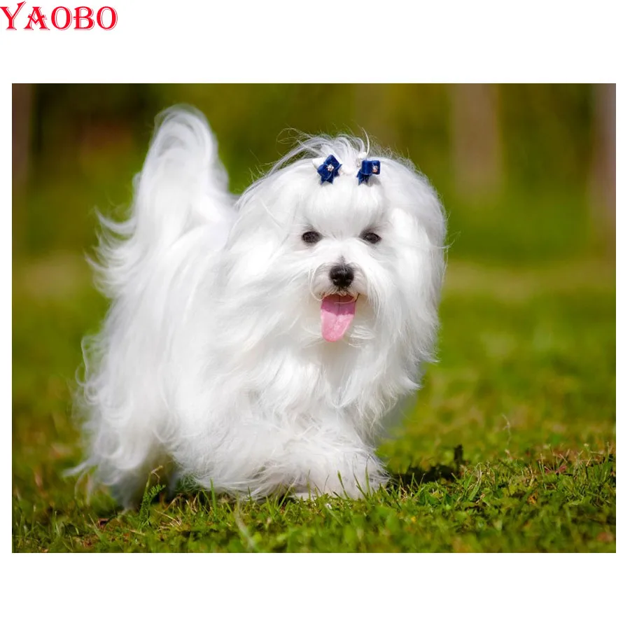 5D DIY Diamond painting Maltese Dog diamond Mosaic Sets Diamond embroidery animal Pictures Of Rhinestones Room Decoration
5D DIY Diamond painting Maltese Dog diamond Mosaic Sets Diamond embroidery animal Pictures Of Rhinestones Room Decoration