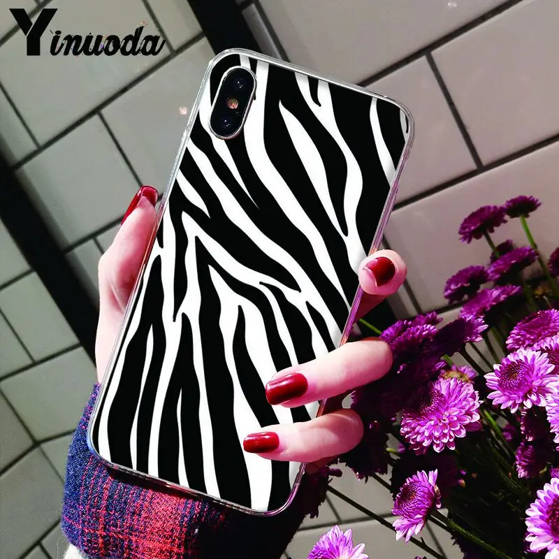 Animal Black white Zebra Stripe