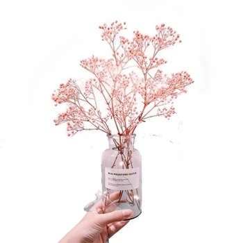 Modern Ins Style Dried Flower LED Home Decoration Furnishings Immortal Starry Sky with Vases Real Bottles Wedding Gift
Modern Ins Style Dried Flower LED Home Decoration Furnishings Immortal Starry Sky with Vases Real Bottles Wedding Gift