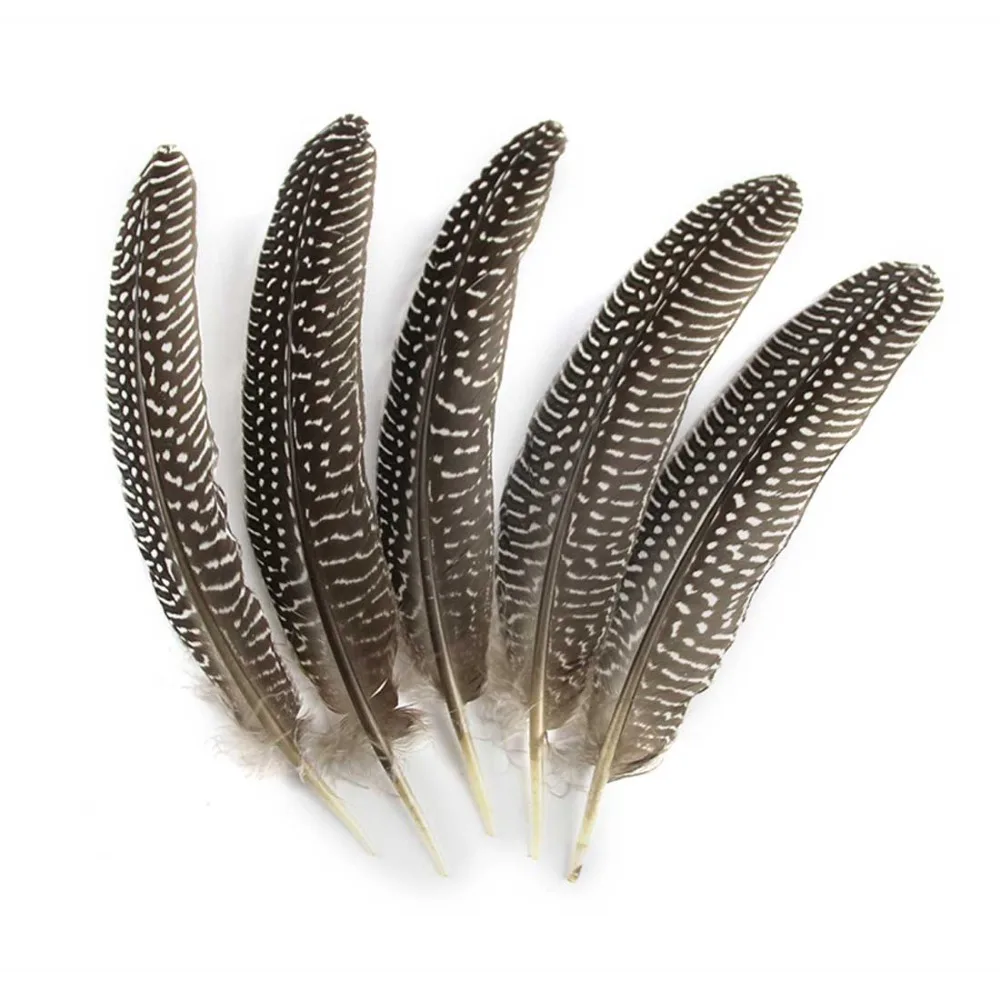 200PCS 15-20 CM/6-8 Inch high quality natural pheasant feather, Diy accessories, wind bell dance dress decoration
200PCS 15-20 CM/6-8 Inch high quality natural pheasant feather, Diy accessories, wind bell dance dress decoration