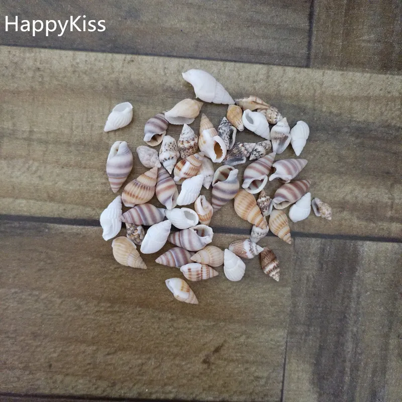 HappyKiss 40pcs 1* bag Shells For Home DIY Decor Beach Mixed SeaShells Mix Sea Shells Shell Craft SeaShells Aquarium conch
HappyKiss 40pcs 1* bag Shells For Home DIY Decor Beach Mixed SeaShells Mix Sea Shells Shell Craft SeaShells Aquarium conch
