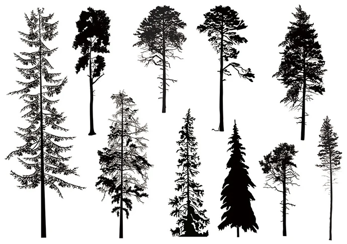 VUAWRTG Trees Transparent Clear Silicone Stamp/Seal for DIY scrapbooking/photo album Decorative card making
VUAWRTG Trees Transparent Clear Silicone Stamp/Seal for DIY scrapbooking/photo album Decorative card making