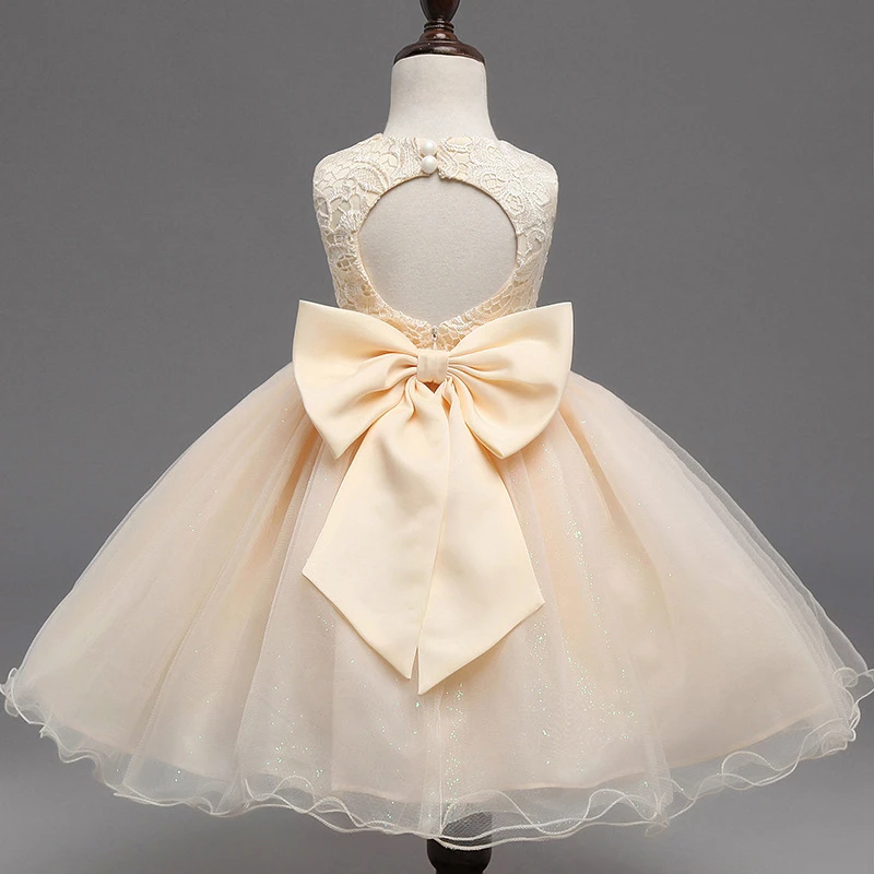 New Fashion 2017 Summer Baby Girls Formal Dress Children Wedding Lace Costume Flower Girl Dress Kids Girl Back Hollow Clothing
New Fashion 2017 Summer Baby Girls Formal Dress Children Wedding Lace Costume Flower Girl Dress Kids Girl Back Hollow Clothing