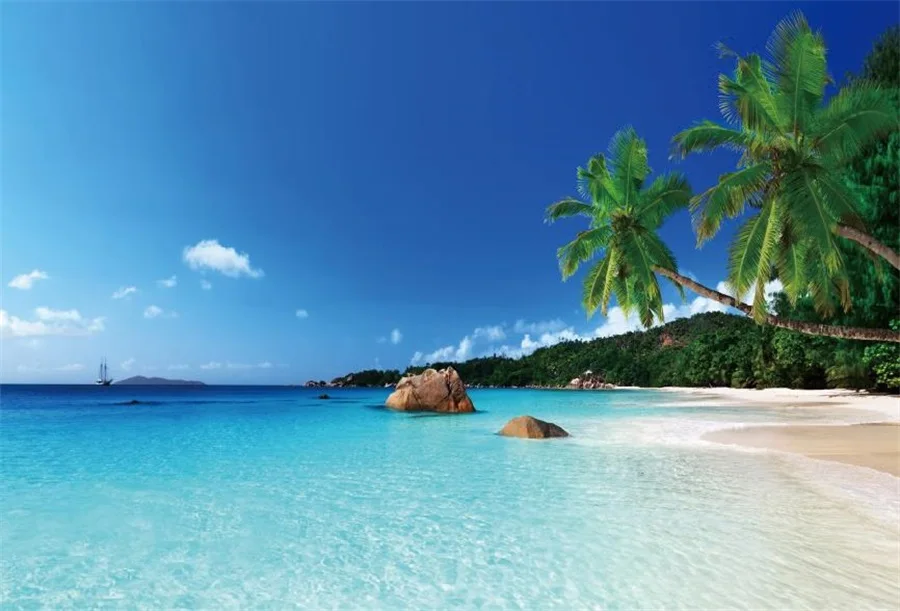 Laeacco Summer Tropical Seaside Photography Newborn Background Palms Tree Scene Seamless Photographic Studio Photo Backdrop Wall
Laeacco Summer Tropical Seaside Photography Newborn Background Palms Tree Scene Seamless Photographic Studio Photo Backdrop Wall