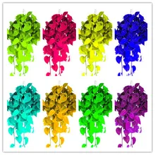 エキゾチッククライミング Epipremnum Aureum 盆栽、屋内オフィスの机の水生植物浄化空気吸収有害ガスリビングルーム 100 ピー(China)