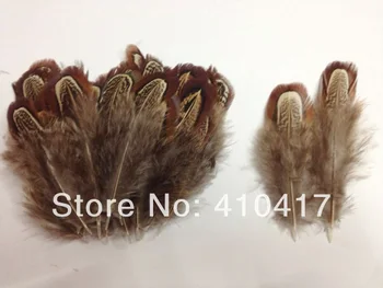 500pcs/lot 2-3inches Or 5-7cm Beautiful Natural Ringneck Loose Pheasant Plumage Feathers Jewelry Making
500pcs/lot 2-3inches Or 5-7cm Beautiful Natural Ringneck Loose Pheasant Plumage Feathers Jewelry Making